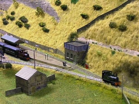 clw1
